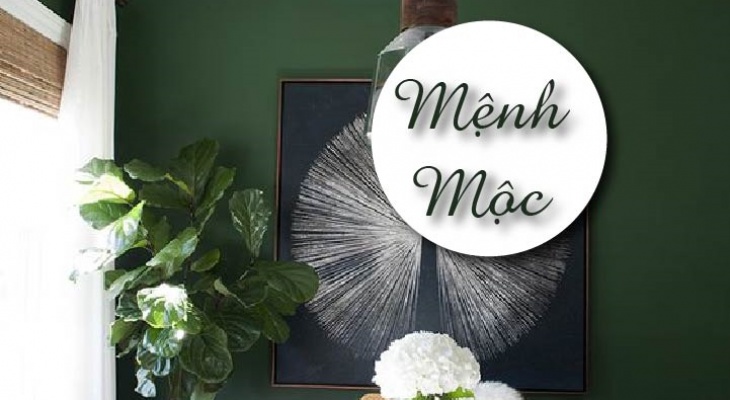 Chọn Màu Sơn Người Mệnh Mộc